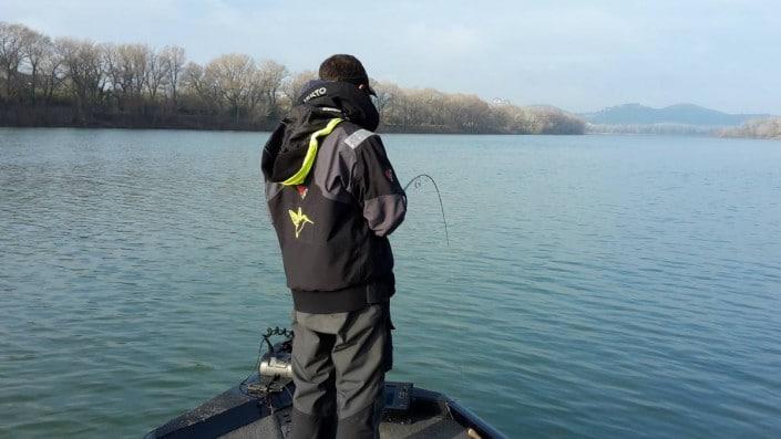 Un Rhône calme mais des silures actifs !