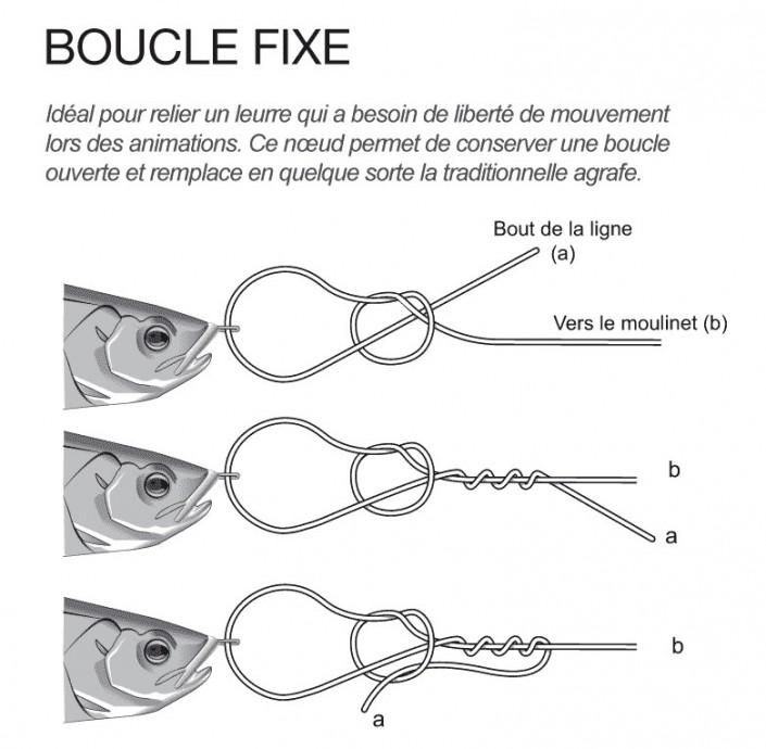 Noeud-boucle-fixe