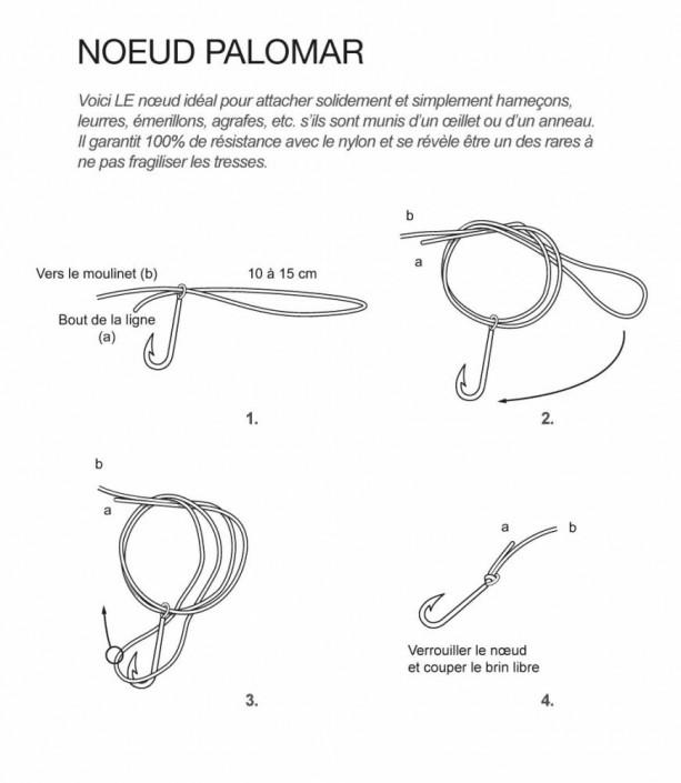 Noeud-palomar