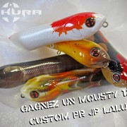 concours SAKURA mousty custom 2016