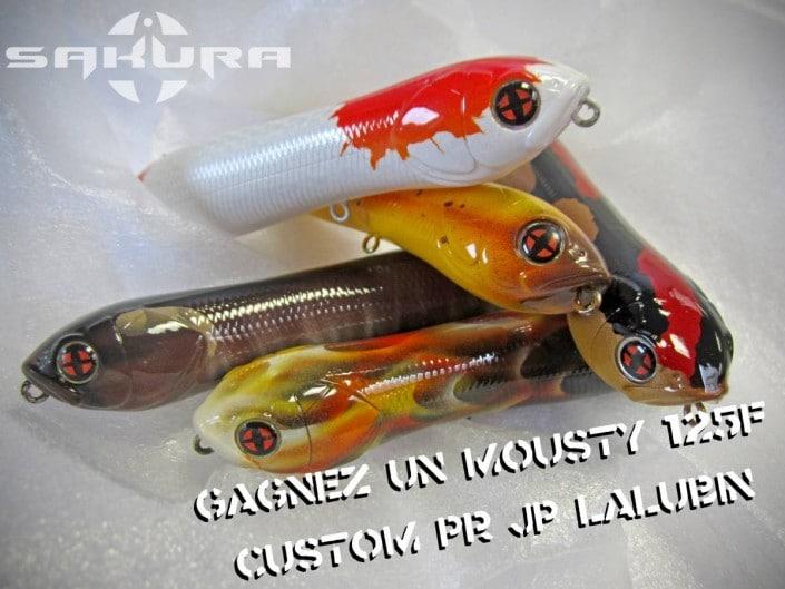 concours SAKURA mousty custom 2016