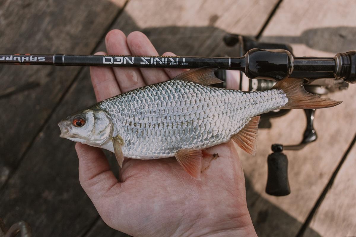 DLrods cannes à peche sur mesure