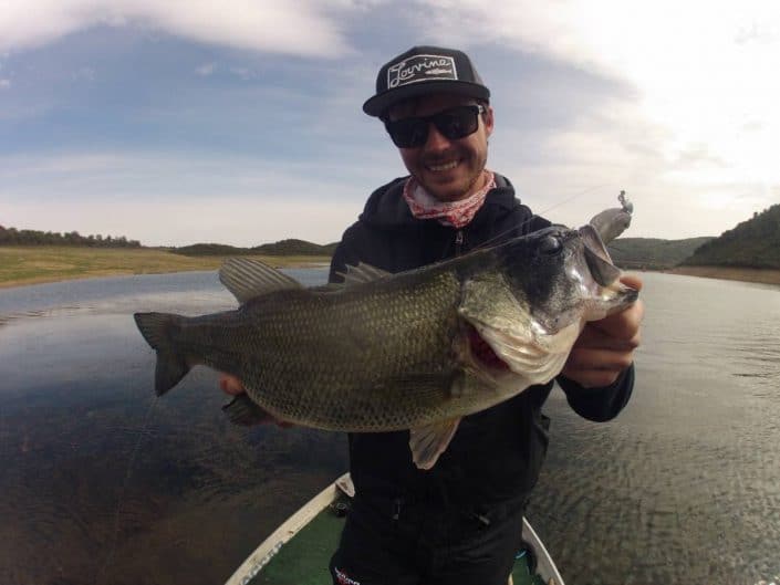 bass with a dark head mark by bastien nicolay team sakura fishing