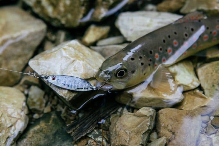 brown trout caught during skoon test in Real Life trout pattern from sakura