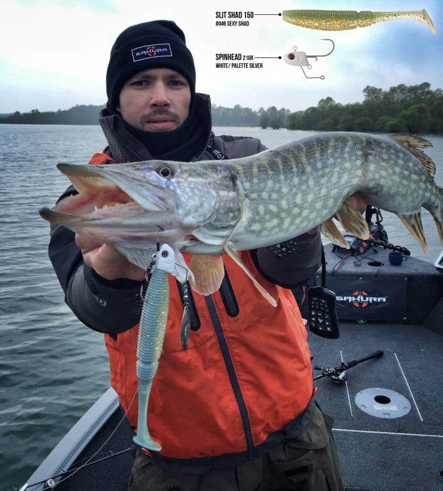 Guide de pêche en bateau sur le lac du Der