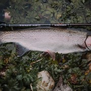 robert-pljuscec-sakura-fishing croatia rainbow trout with trinis neo 632ulst