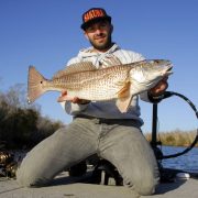 red Drum du Delta