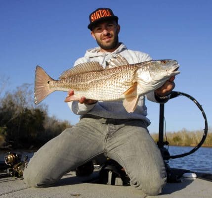 red Drum du Delta