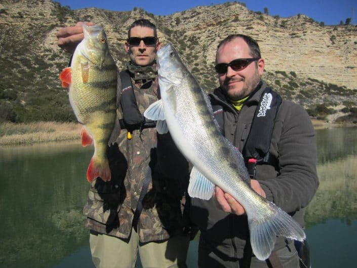 perch and zander from mequinenza with loic domergue team sakura