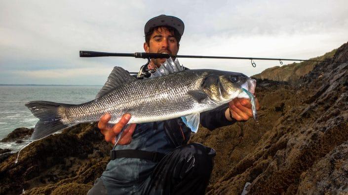 seabass caught on tex shad 100 with a Players PLS 712MH sakura