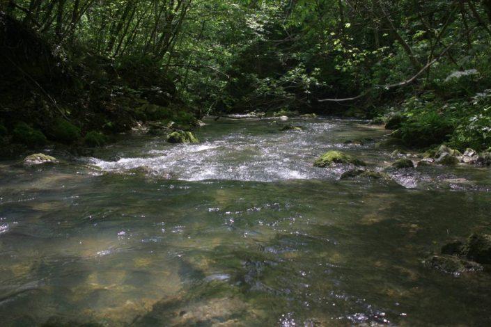 small mountain stream in croatia