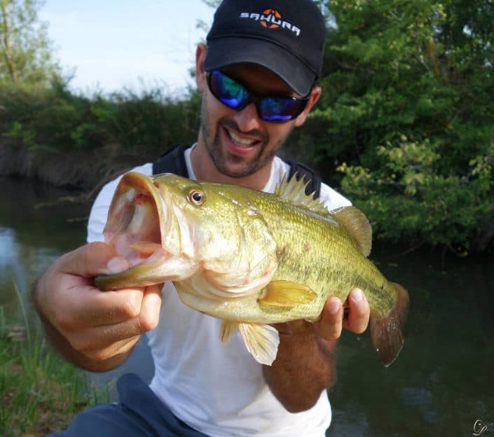 Black-bass attrapé avec un Fat Ika en montage weightless, hameçon texan avec ardillons écrasé