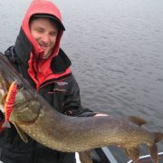 Pro team sakura Loic domergue with a good pike caught on a S-Shiner Red Tiger