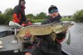 brochet au wafer de sakura fishing en irlande avec loic domergue