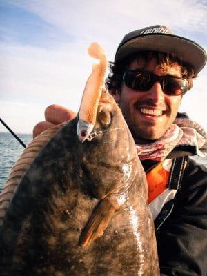 flounder au tex shad 80 sakura fishing