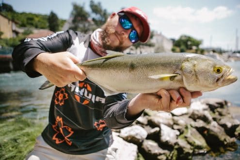 Robert Pljuscec from sakura croatia with a nice bluefish