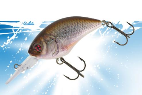 vignette-transition-SCB-Crank-200F-2021