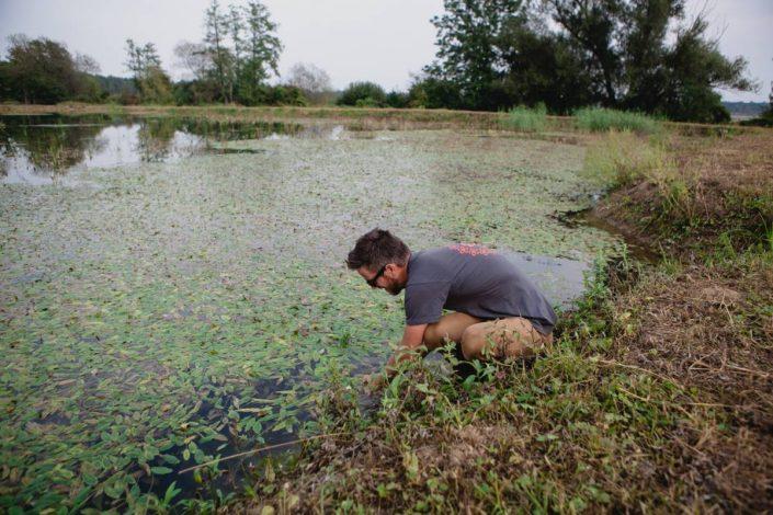 lac plein de vegetation en croatie sakura fishing 