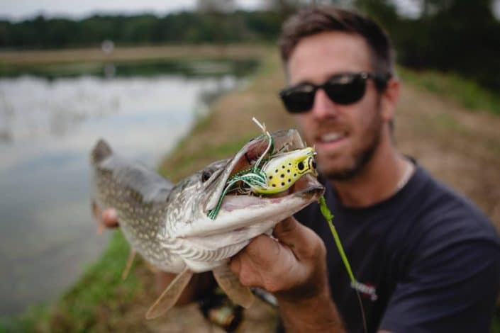 Brochet pris a la frog queen rana de sakura fishing 