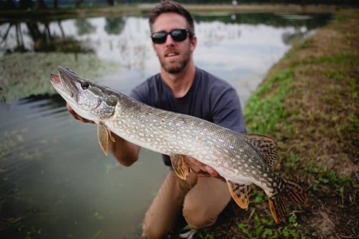 Tanguy marlin de sakura avec un joli brochet pris en surface en croatie