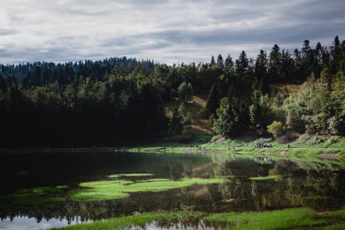 lac-de-lokvarsko-lors-de-la-sakura-ul-kup-2016