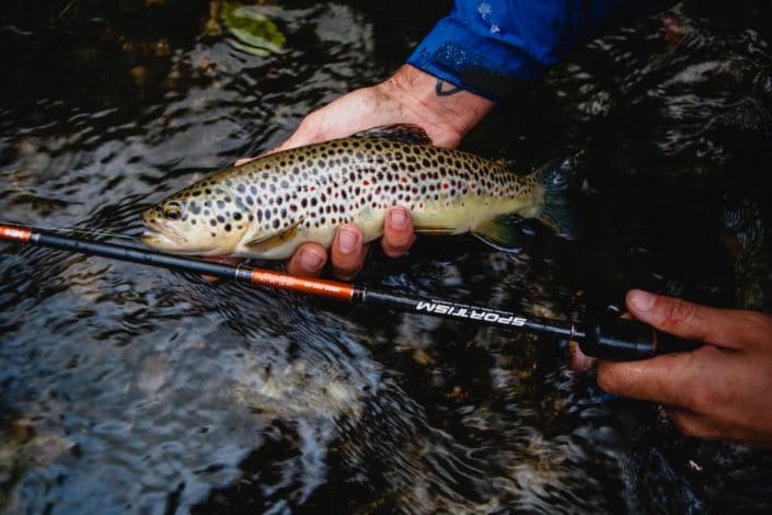 nice-brown-trout-from-croatia-caught-with-new-sportism-2014-sakura-fishing