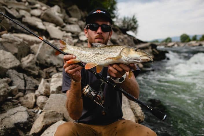 sakura-fishing-croatia-barbel-from-sava