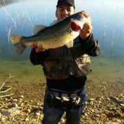 big bass marocain