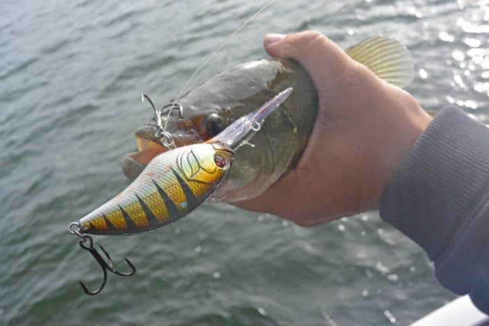 black-bass-pris-au-crankbait-sakura-scb-400-f