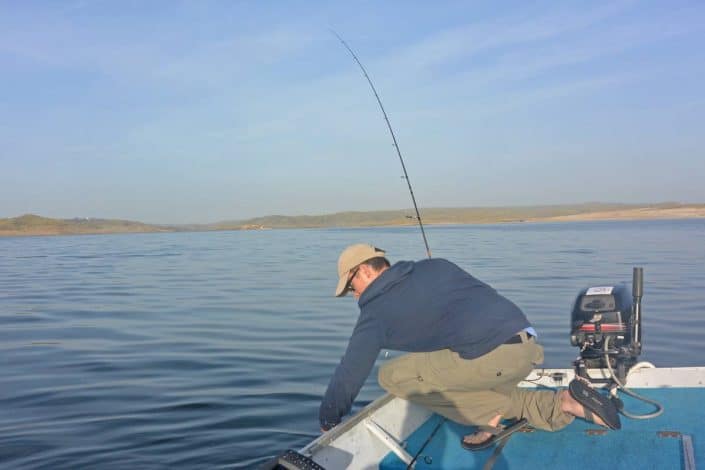 wenzel-catch-a-nice-zander-in-spain