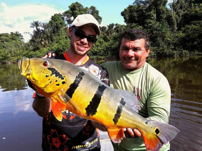 Mon guide Orlando m'aura permis de capturer de jolis Peacock