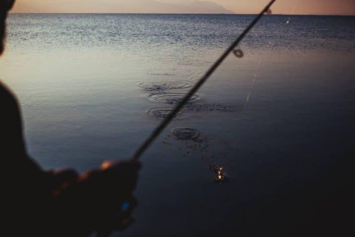 fishing for leerfish in croatia sakura