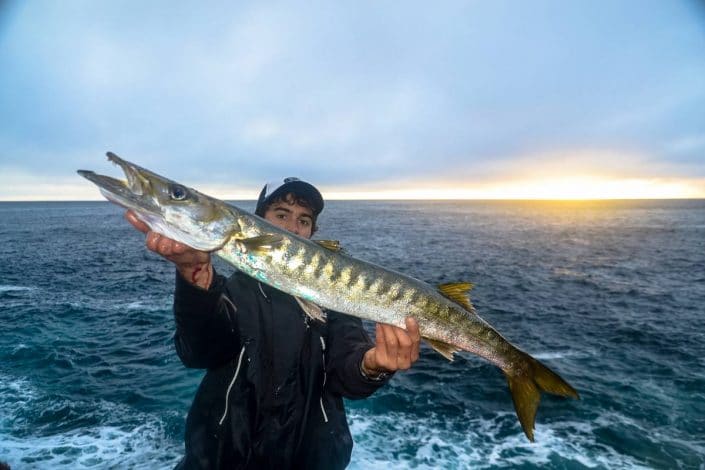 bécune a bouche jaune prise depuis le bord au L16 Shad baby sakura