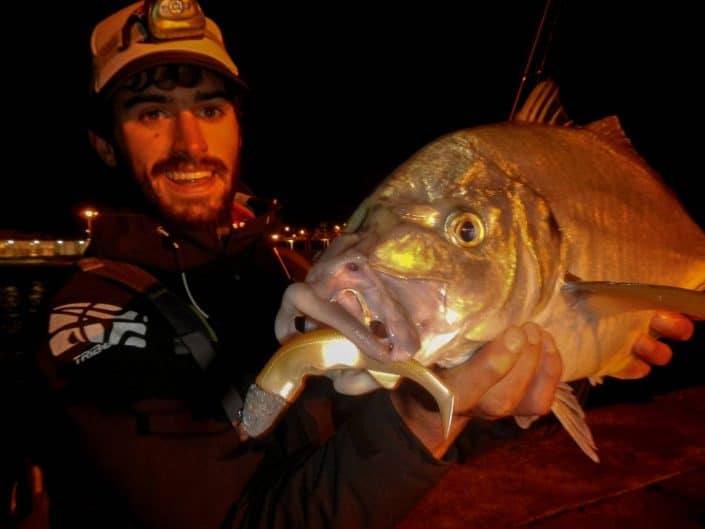 carangue des açores prise au texshad 100