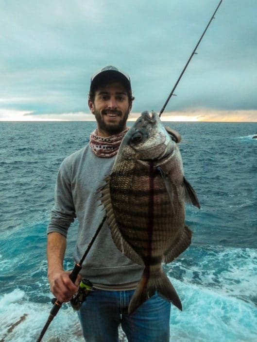 Gros sar des açores pris au Slit Shad sakura par thomas gestin