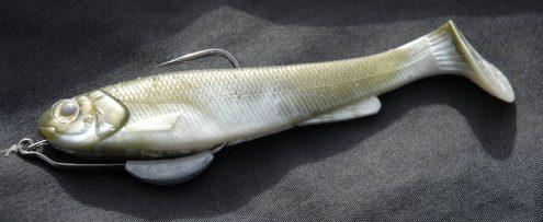 L16 Shad sakura
