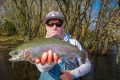 nice rainbow trout caught on sakura Imara inline spoon