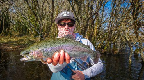 nice rainbow trout caught on sakura Imara inline spoon