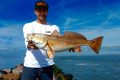 nice redfish caught by jean christophe david team sakura fishing on slit shad