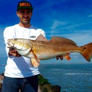 nice redfish caught by jean christophe david team sakura fishing on slit shad