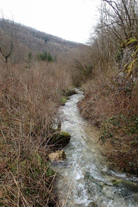 ruisseau pour le dimanche de l'ouverture de la truite 2017