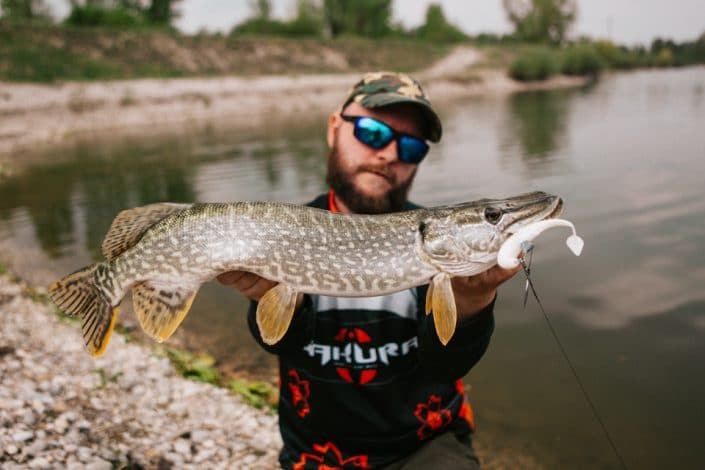 brochet pris par robert pljucec avec un shad deus blanc de biwaa