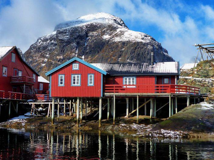 rorbus_norway_lofoten