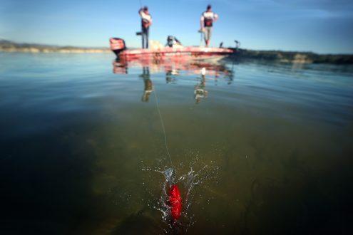 https://www.sakura-fishing.com/wp-content/uploads/2017/06/pitching-crankbait-sakura-min.jpg