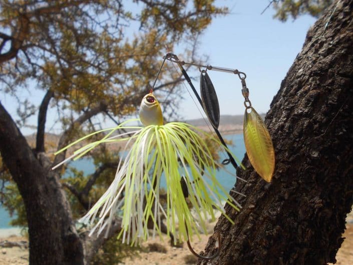 spinnerbait Sakura Monarc tout simplement indispensable