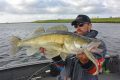 big zander de josselin pris au slit shad 175 sakura