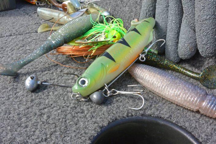 jackax shad sakura 2018 new product