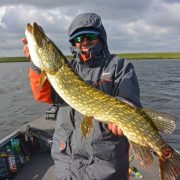 Dekai Swimbait