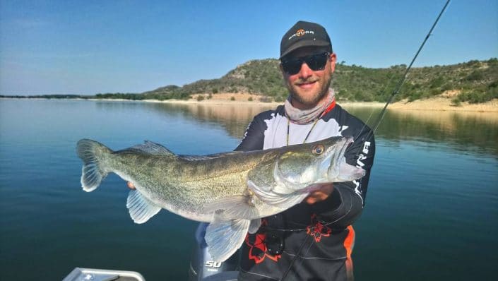 joli sandre de loic domergue guide de peche en espagne