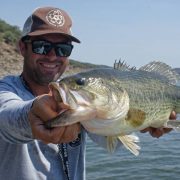 lunker du sejour pris par benoit au sakura SCB 400F
